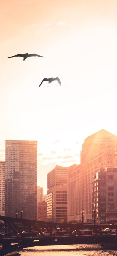 Fond d'écran iPhone Morning City Rise Birds Flying