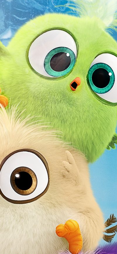 Fond d'écran iPhone Hatchlings In The Angry Birds Movie 2