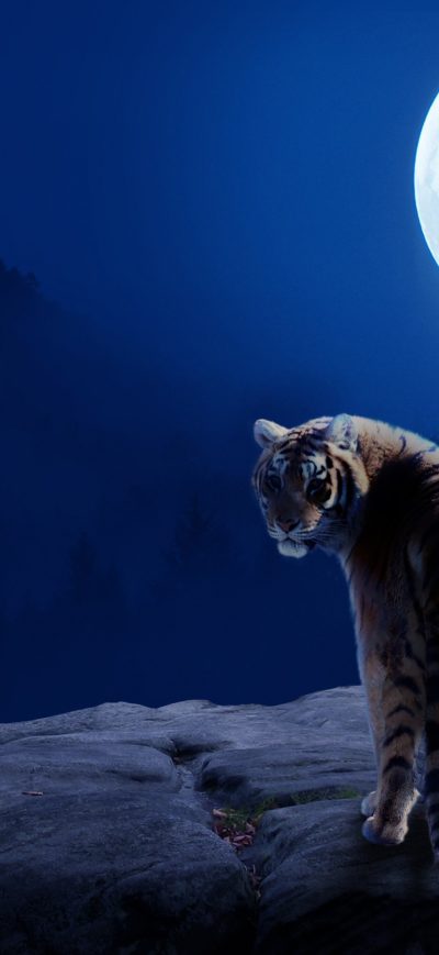 Fond d'écran iPhone Tiger Girl Moon 4k