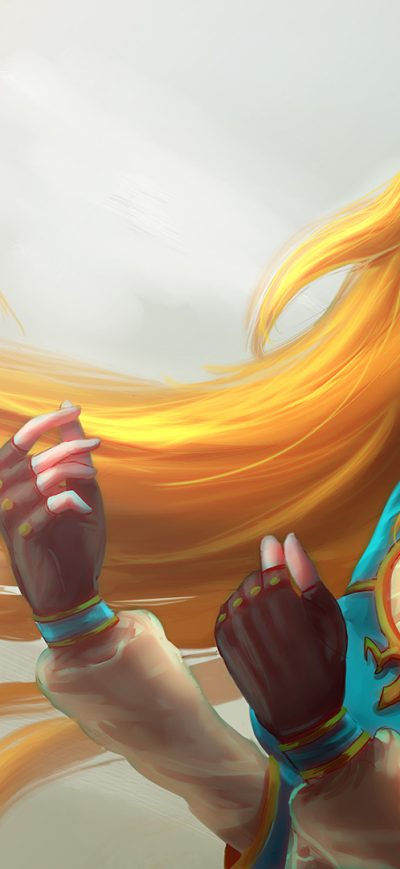 Fond d'écran iPhone The Legend of Zelda Breath of the Wild Artwork