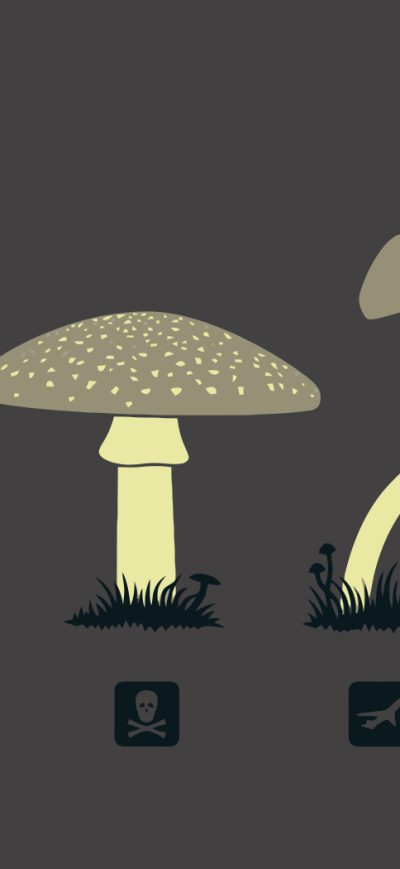 Fond d'écran Mushroom Minimalism sur iPhone