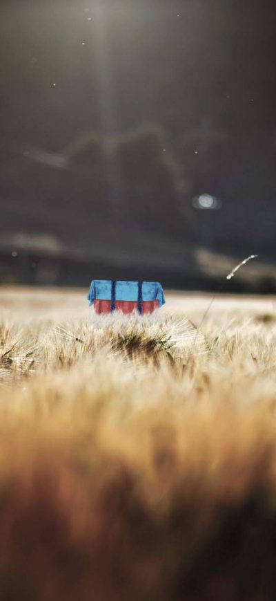 Fond d'écran iPhone Pubg Airdrops