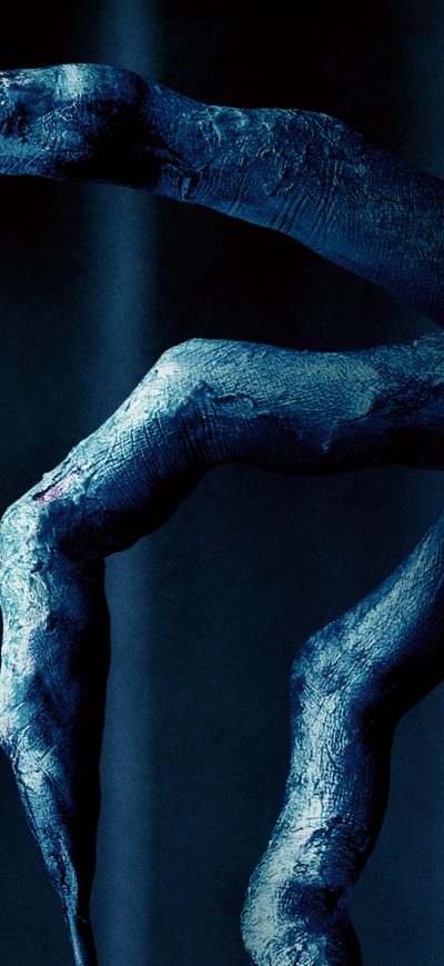 Fond d'écran iPhone Insidious The Last Key