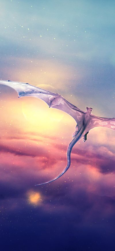 Fond d'écran iPhone Dragon Flying Over
