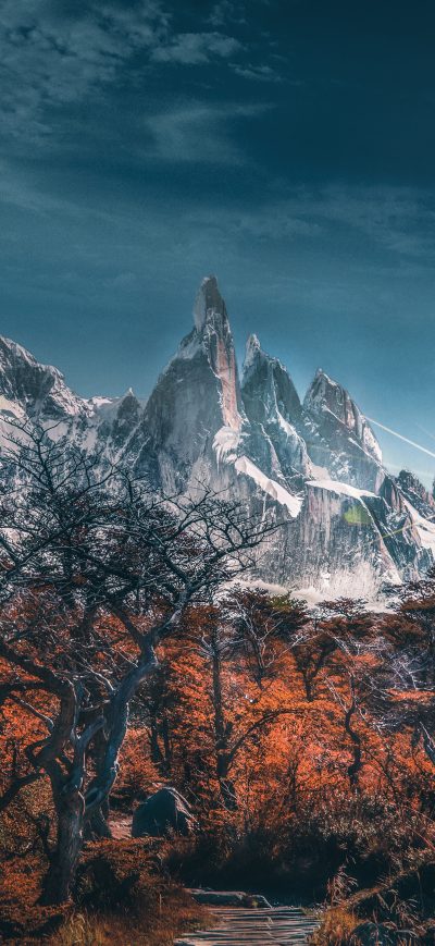 Fond d'écran iPhone Snowy Mountains Trees Landscape 5k