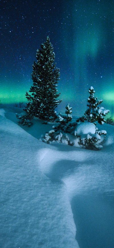 Fond d'écran iPhone Northern Lights Arctic Circle Norway