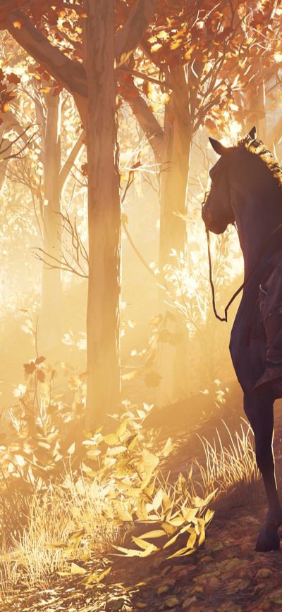 Fond d'écran iPhone The Hunter Assassins Creed Odyssey