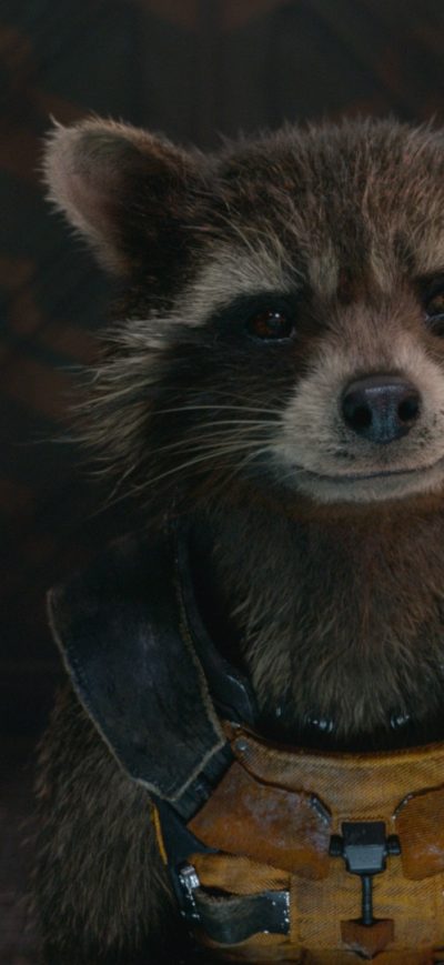 Fond d'écran iPhone Rocket Raccoon Guardians Of The Galaxy