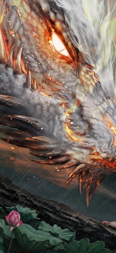 Fond d'écran iPhone Savior Dragon Queen