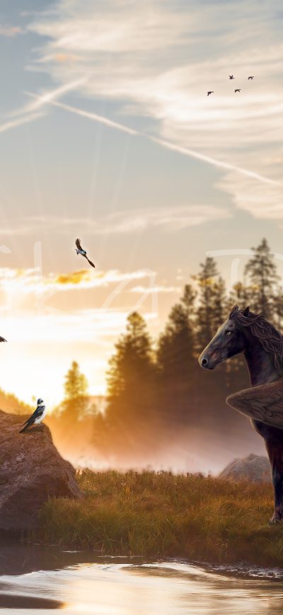 Fond d'écran iPhone Horse Magical Mysterious 4k