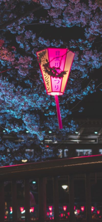 Fond d'écran iPhone Japan Night Cherry Blossom Trees Lantern Glowing Night