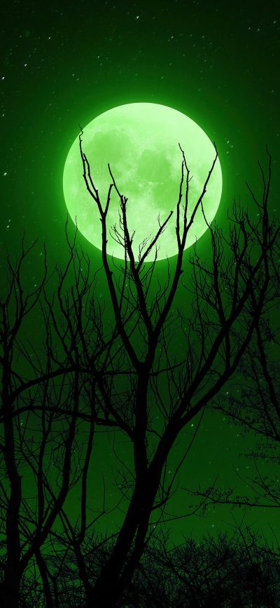 Fond d'écran iPhone Full Moon Green 5k