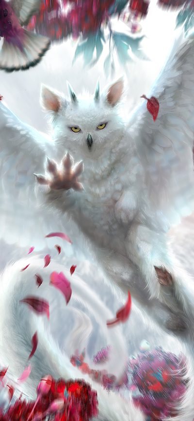 Fond d'écran iPhone Scatter Owl 4k