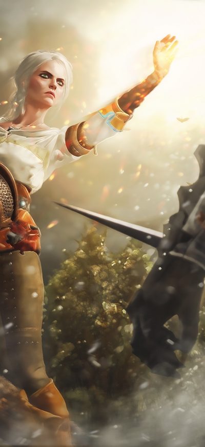 Fond d'écran iPhone The Witcher 3 Wild Hunt Game Art