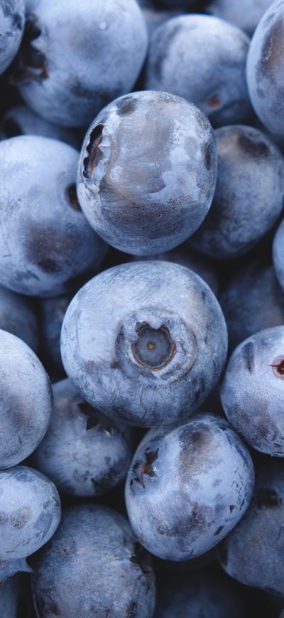 Fond d'écran iPhone Blueberry