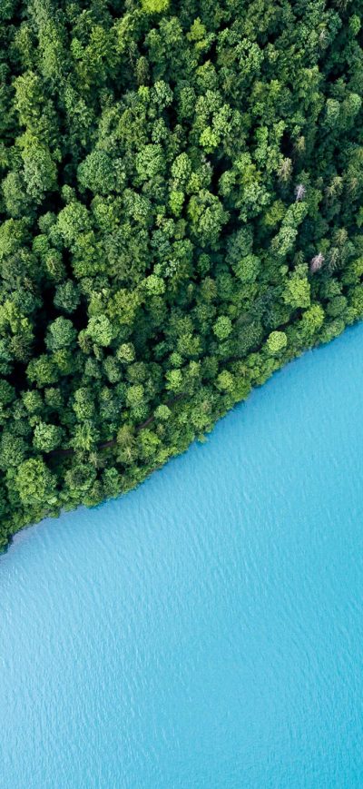 Fond d'écran iPhone Blue Lake Water Green Trees Plants Forests