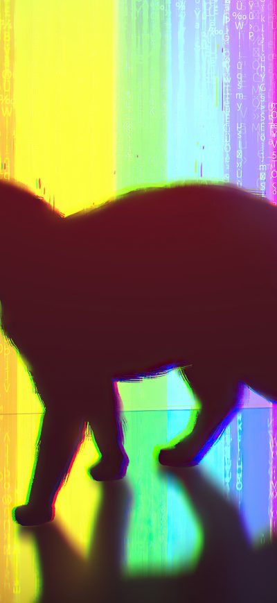 Fond d'écran PsyCat sur iPhone