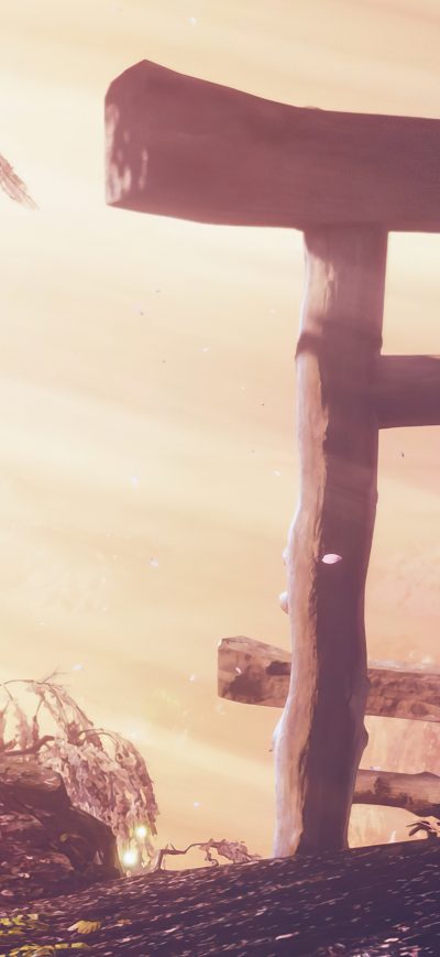 Fond d'écran iPhone Sekiro Shadows Die Twice