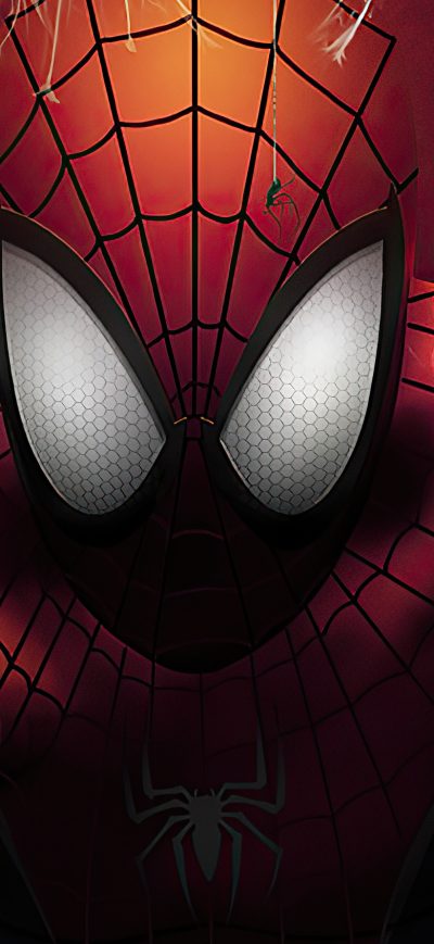 Fond d'écran iPhone Spider Man In Web