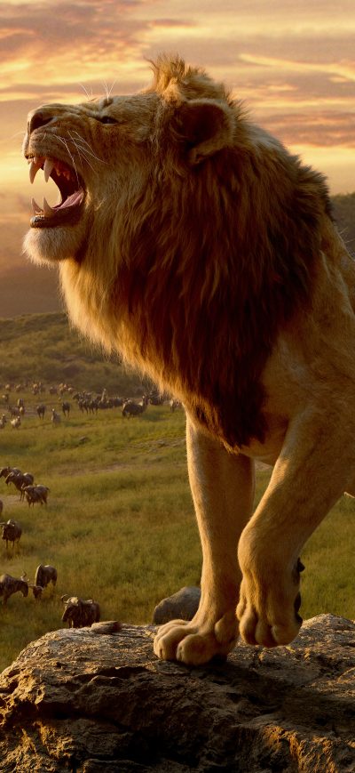 Fond d'écran iPhone The Lion King Movie 10k