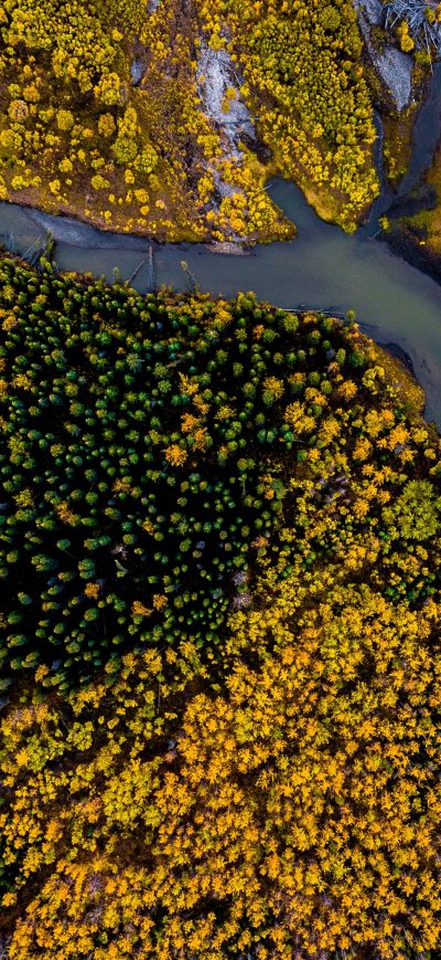Fond d'écran iPhone Aerial Photography Beauty In Nature Forest