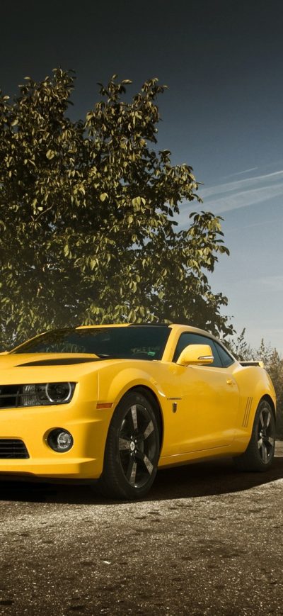 Fond d'écran iPhone Camaro
