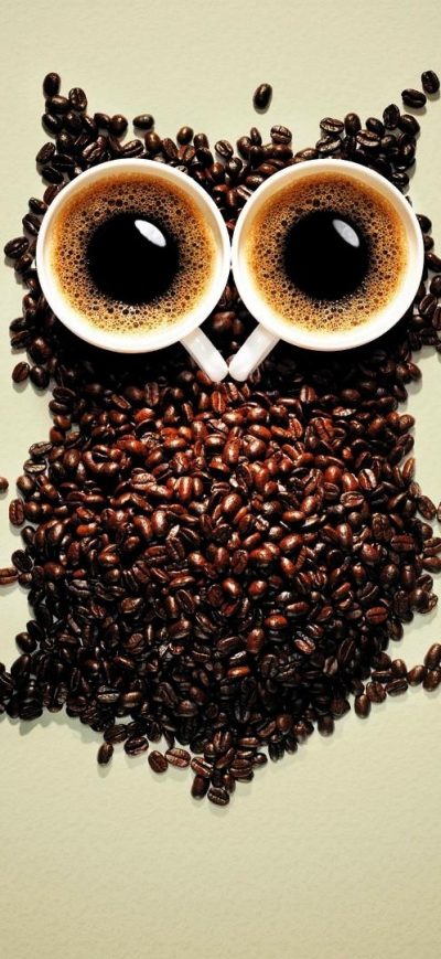Fond d'écran iPhone Coffee Beans Owl Art