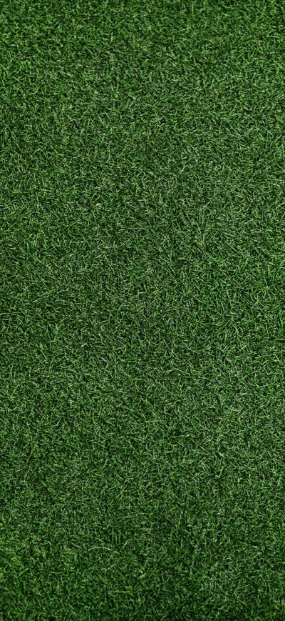 Fond d'écran iPhone Grass Background