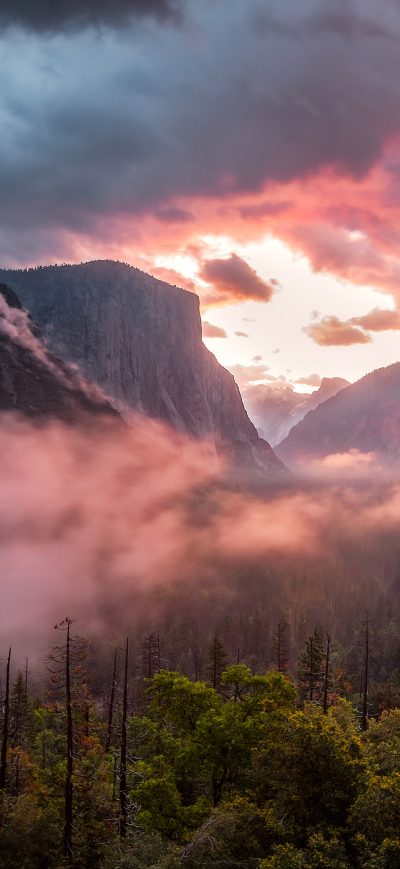Fond d'écran iPhone Misty Yosemite