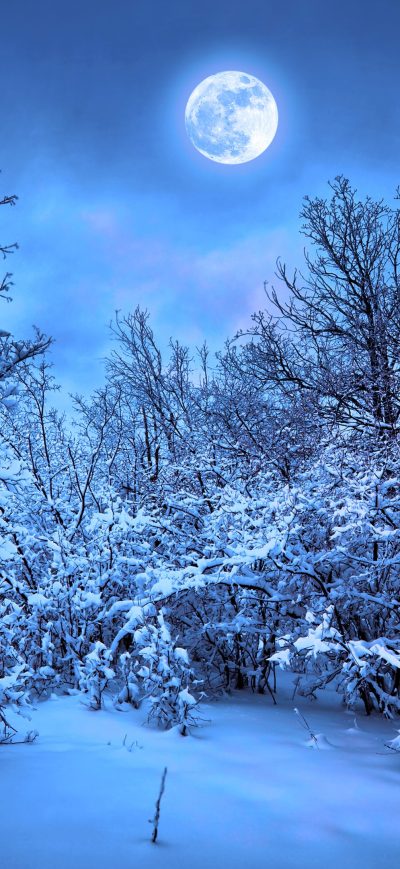 Fond d'écran iPhone Winter Snow Nature 4k