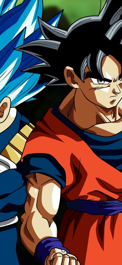 Fond d'écran iPhone Son Goku Vegeta In Dragon Ball Super 5k