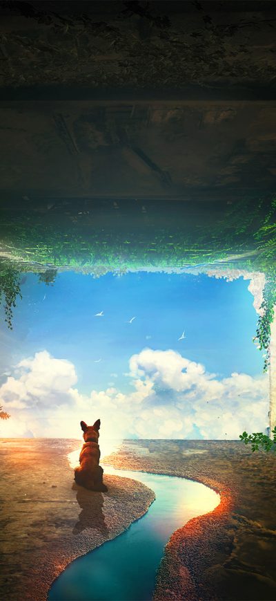 Fond d'écran iPhone Dog Post Apocalyptic