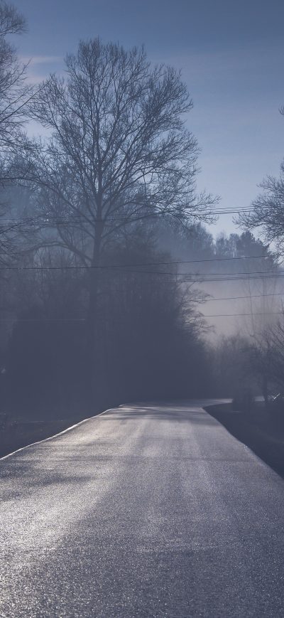 Fond d'écran iPhone Road Tree Mist 5k