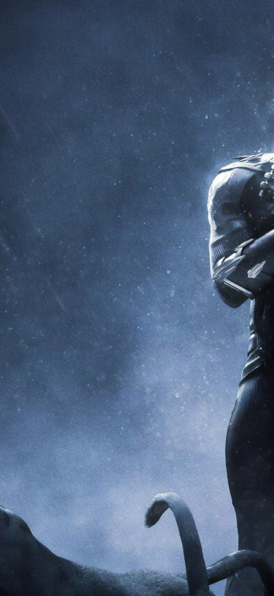 Fond d'écran iPhone Black Panther 4k Rise Up