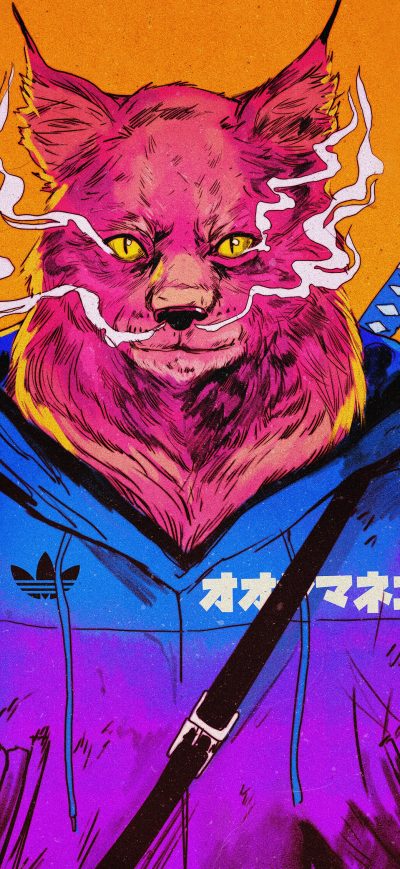 Fond d'écran Badass Cat 4k sur iPhone