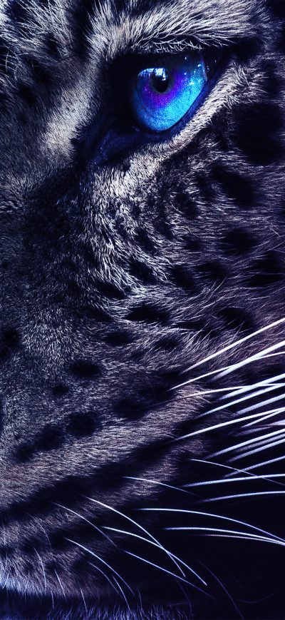 Fond d'écran iPhone Cheetah Galaxy Eyes 4k