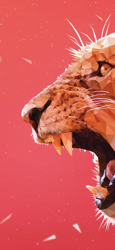 Fond d'écran iPhone Lion Facet 5k