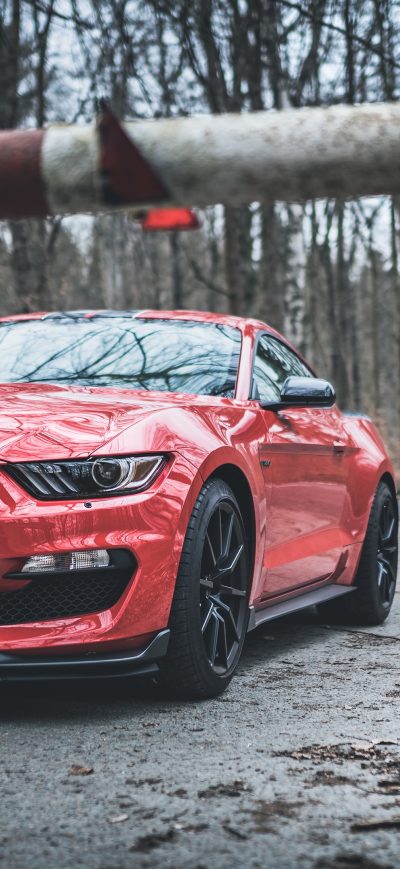 Fond d'écran iPhone Ford Mustang Shelby GT350 Red Stripes 4k