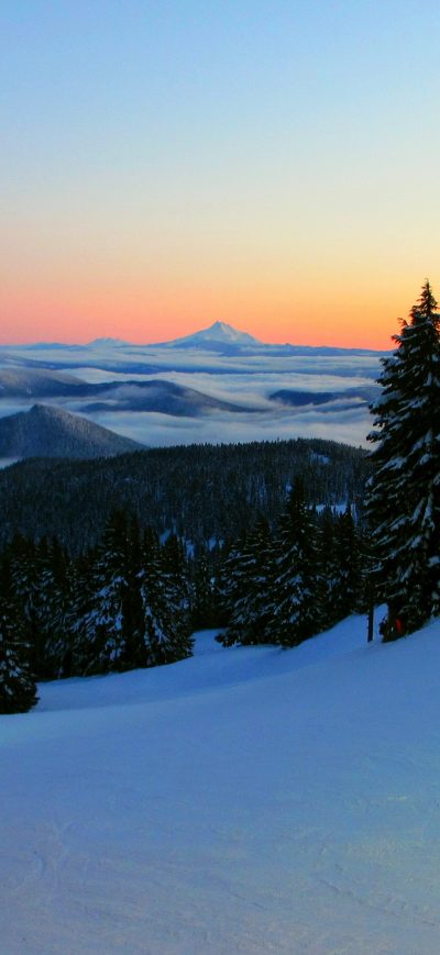 Fond d'écran iPhone Tree Plant Fir Abies Nature Outdoors Mountain Snow