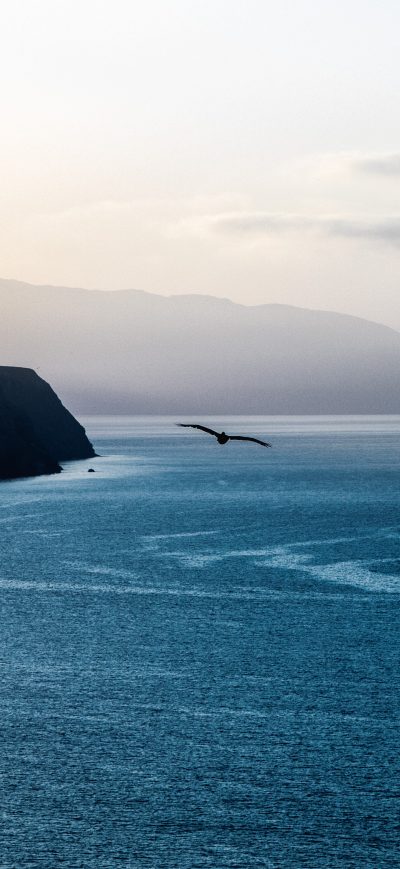 Fond d'écran iPhone Calm Ocean Bird Flying Over 5k