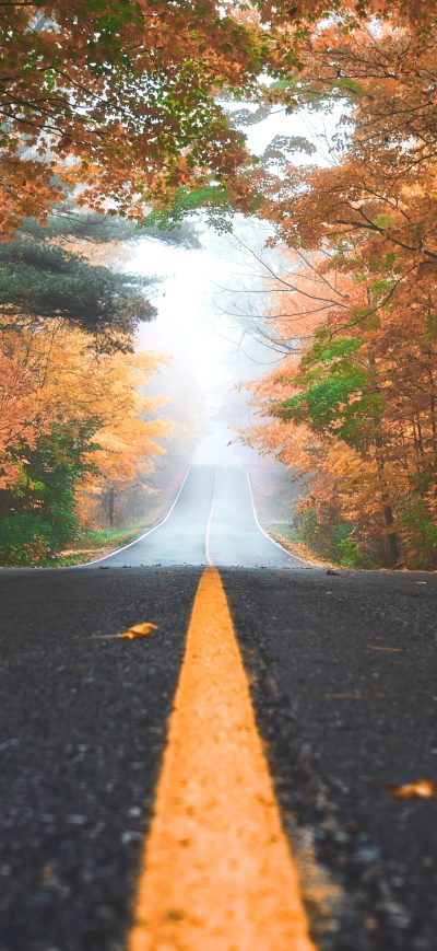 Fond d'écran iPhone Alone Road Autumn 4k