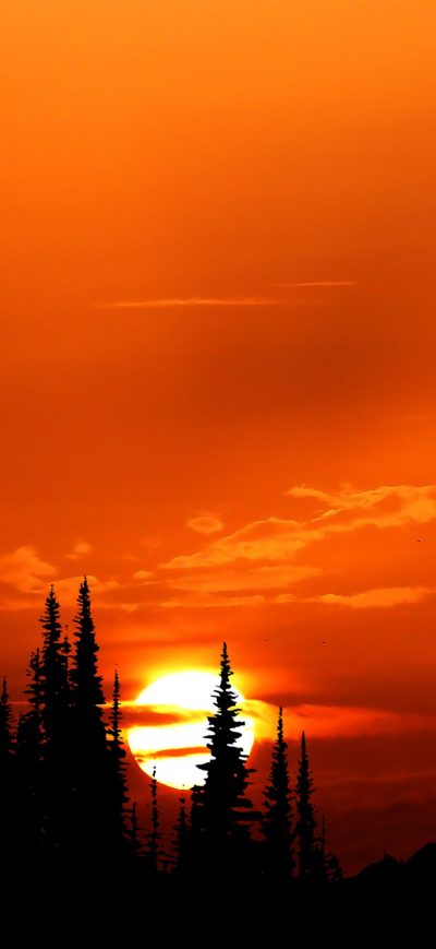 Fond d'écran iPhone Relaxing Orange Sunset Evening 4k