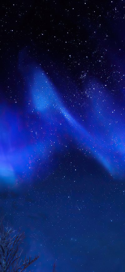 Fond d'écran iPhone Aurora Night Sky Trees The Elder Scrolls V Skyrim 4k