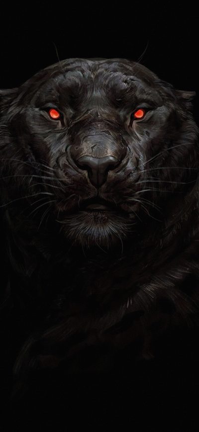 Fond d'écran iPhone Tiger Glowing Eye 5k
