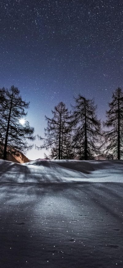 Fond d'écran iPhone Trees Night Snow Mountains