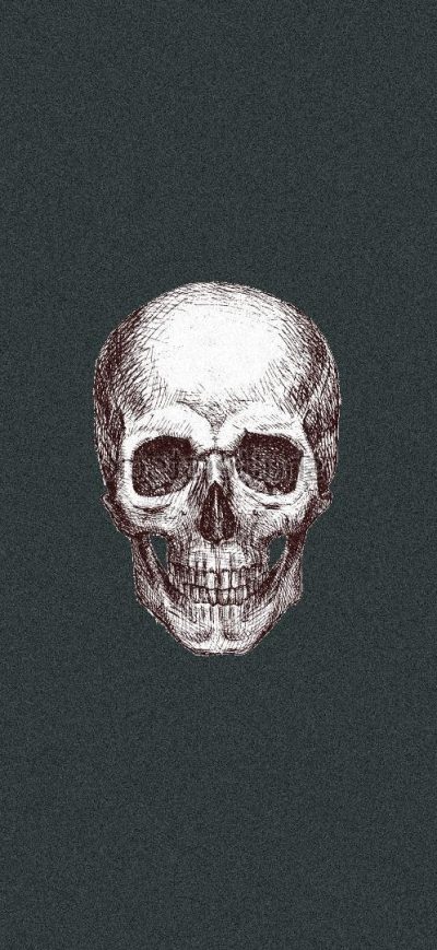 Fond d'écran iPhone Skull Art 3