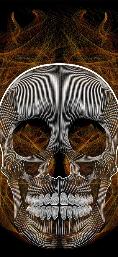 Fond d'écran iPhone Blend Skull Vector Illustration