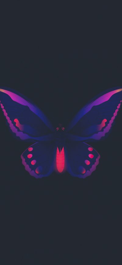 Fond d'écran iPhone Butterfly Minimal 4k