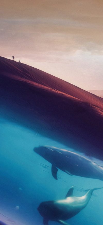 Fond d'écran iPhone Dolphins In Desert 4k