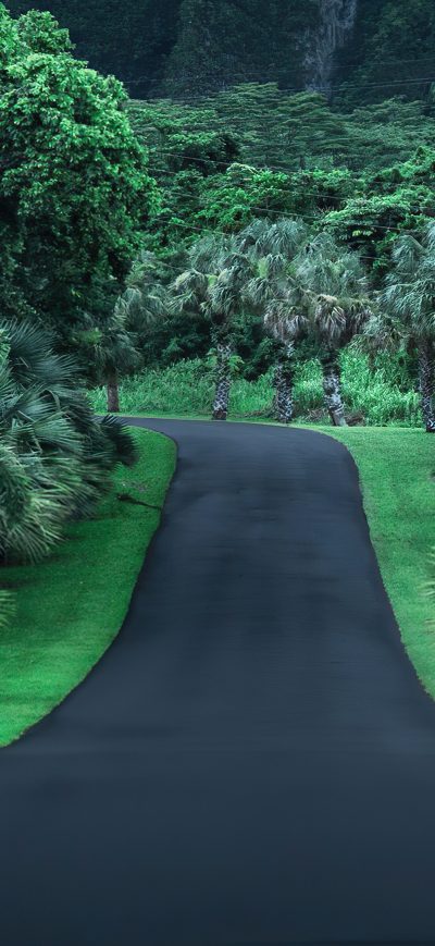 Fond d'écran iPhone Green Road Nature 4k